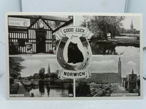 Vintage Postcard Multiview Norwich Maddermarket Theatre Thorpe Green River 1950s