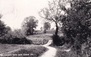 Church Path Bow Devon Old Real Photo Postcard