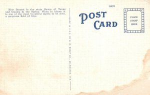 Vintage Postcard 1930's Blue Bonnets The Texas State Flower Blooms Spring Poem 