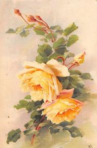 Newport Rhode Island postmark artist rendition yellow roses antique pc Z39710