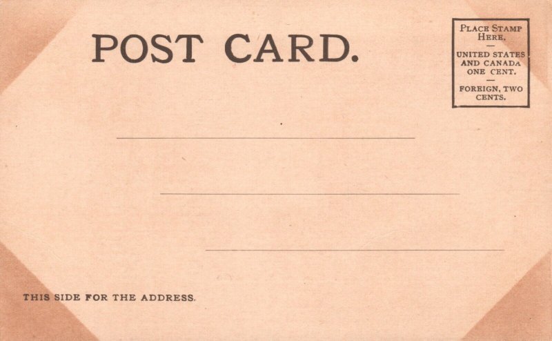 Vintage Postcard 1900's Art Institute Chicago IL Illinois Pub. V.D. Hamman