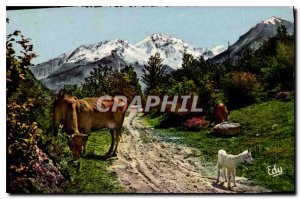 Old Postcard Images of Chez Nous The Breakfast of Our Mountains Cows