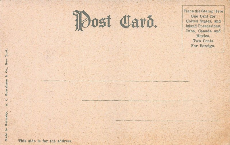 Museum of Art, Detroit, Michigan, Early Postcard, Undivided Back, Unused