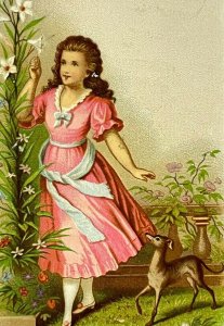 Brummell's New York Lovely Girl Flowers Greyhound Dog Victorian Trade Card