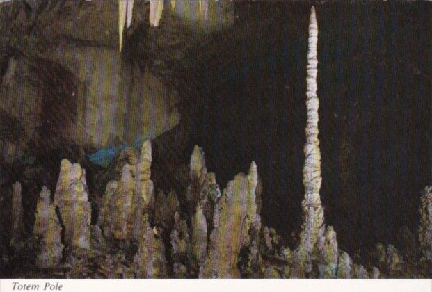 New Mexico The Totem Pole Carlsbad Caverns National Park