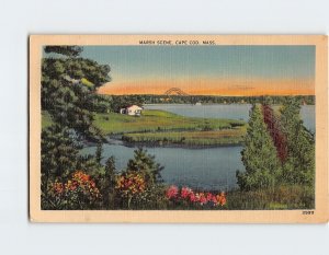 Postcard Marsh Scene Cape Cod Massachusetts USA