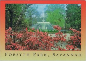 America Postcard - Savannah, Georgia, Forsyth Park Fountain  RR20194