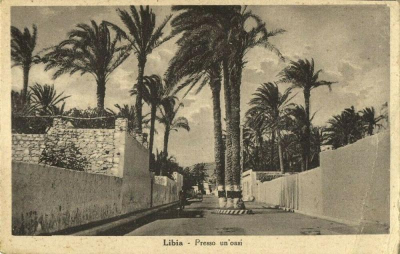 Libya, TRIPOLI, Presso un'Oasi, At an Oasis (1943) Postcard