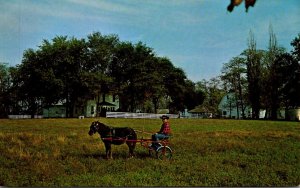 Illinois Chandlerville Lanes Vacation Farm