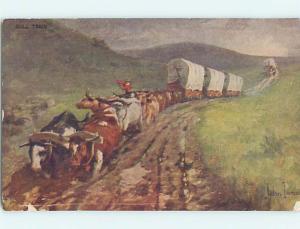 Divided-Back Signed WESTERN - BULL WAGON TRAIN HM7373