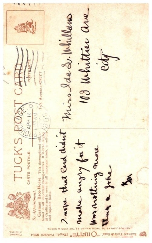 Horse ,  German  Race Horse