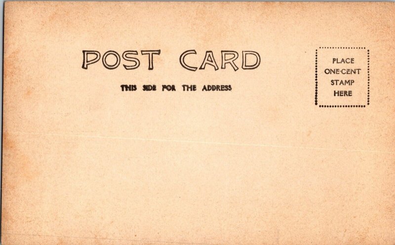 RPPC, Alligator Eggs Hatching in Nest Undivided Back Vintage Postcard P49