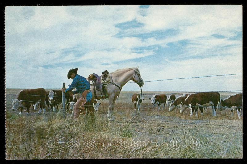 Mending Fence