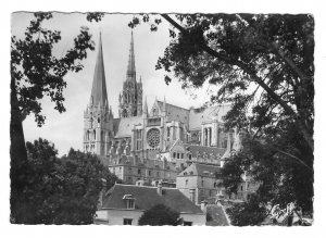 France Chartres Cathedral Notre Dame South Side Glossy RPPC 4X6 GREFF Postcard