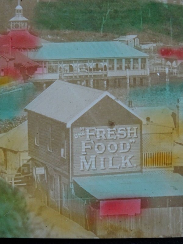 Australia NSW SYDNEY Mosman's Bay Harbour FRESH FOOD & MILK Sign c1905 RP PC