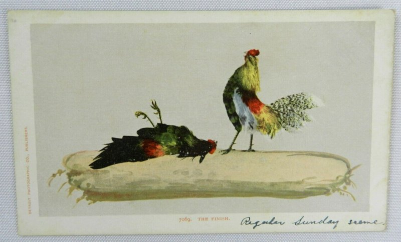 Two Chickens Rough Feathers - The Finish - Detroit Vintage Postcard