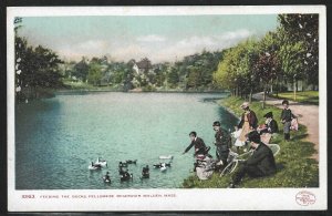 Fellsmere Reservoir, Malden, Mass., Early Postcard, Detroit Publishing Co.