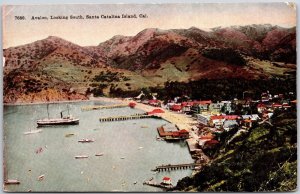 1917 Avalon Looking South Santa Catalina Island California CA Posted Postcard