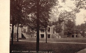 Vintage Postcard New York State Normal School Geneseo New York Minckler Drug Pub