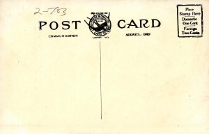 VT - Brattleboro. The Common