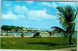 Postcard BUILDING SCENE Clearwater Florida FL AL9533