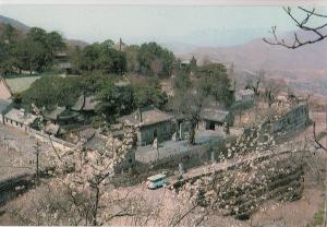 BF18046 monastery of the ordaining terrace  china front/back image