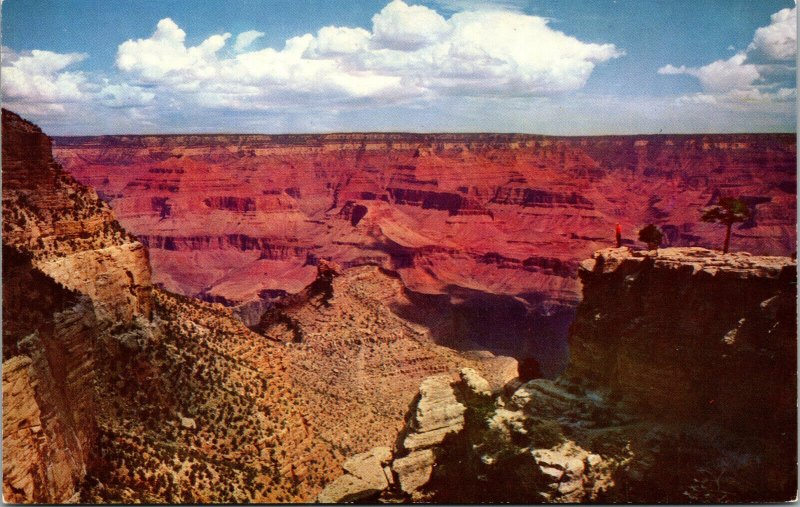 Vtg 1950s Grand Canyon National Park Arizona AZ Fred Harvey Postcard