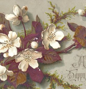 1880s Victorian New Year Trade Card Lovely White Blooms Flowers P116