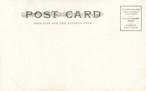 Vintage Postcard 1900's Curecanti Needle In Black Canon Near Montrose Colorado