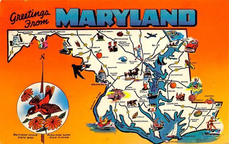 Greetings from Maryland USA Map Unused 