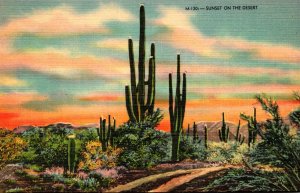 Cactus Sunset On The Desert