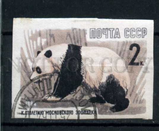 506452 USSR 1964 year anniversary Moscow Zoo animals panda