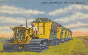 Caterpillar Tractor Hauling Sugar Wagons Florida Everglades linen postcard