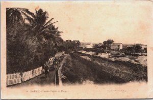 Senegal Dakar Jardin Public et Paige Vintage Postcard C043