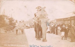 Elephant Ride BellVue Manchester Circus 1908 