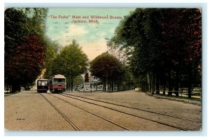 The Forks Main and Wildwood Streets Jackson Michigan 1914 Vintage Postcard 