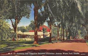 Oak Trees Line Beautiful Interlachen Avenue - Winter Park, Florida FL  