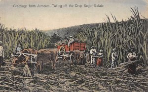Taking off the Crop Sugar Estate Jamaica 1932 