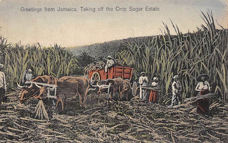 Taking off the Crop Sugar Estate Jamaica 1932 