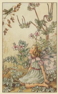 Stork Storks Bill Fairy Old 1940s Book Stunning Postcard