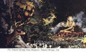Natural Wax Museum  - Natural Bridge, Virginia VA Postcard