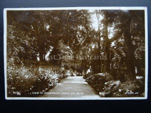 Herefordshire ROSS ON WYE View in Prospect c1930's RP Postcard by Valentine