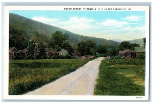 c1920's In The Catskills, South Street Phoenicia New York NY Unposted Postcard 