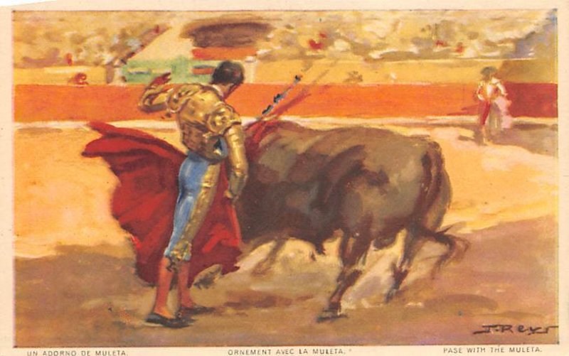 Pase with the Muleta Bull Fighing, Bullfighting Unused 