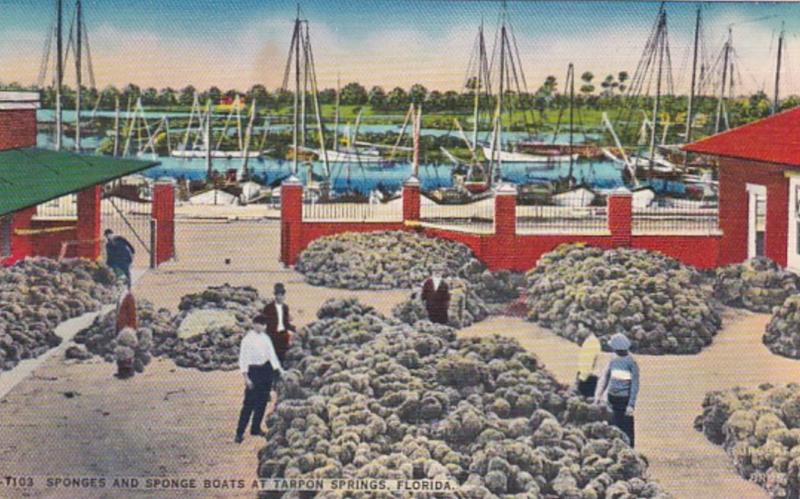 Florida Tarpon Springs Sponges and Sponge Boats 1958