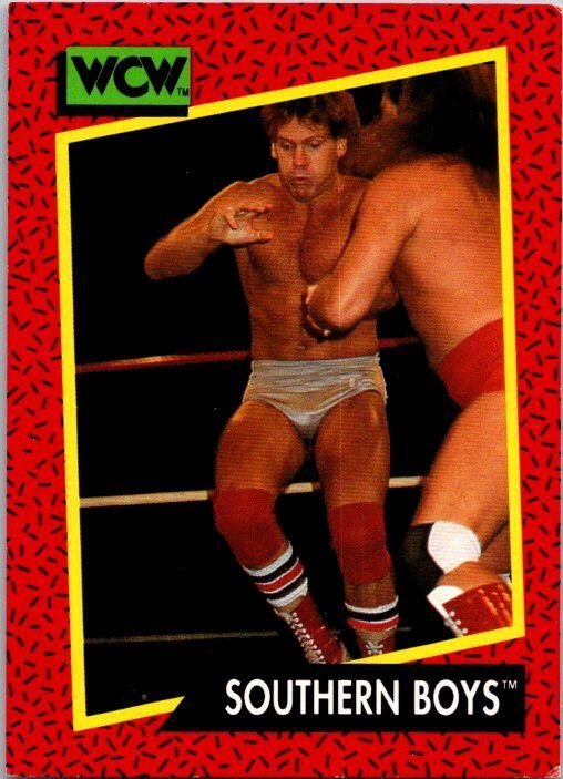 1991 WCW Wrestling Card Southern Boys Steve Armstrong Tracy Smothers sk21222