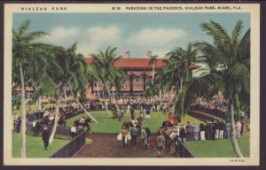 Parading in the Paddock,Hialeah Park,Miami,FL Postcard