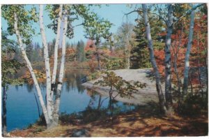 Fall Colours, Muskoka, Ontario, 1956 Postcard, Envelope Size Rules Slogan Cancel