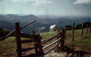 North Carolina Typical Blue Ridge Mountain Farm 1963