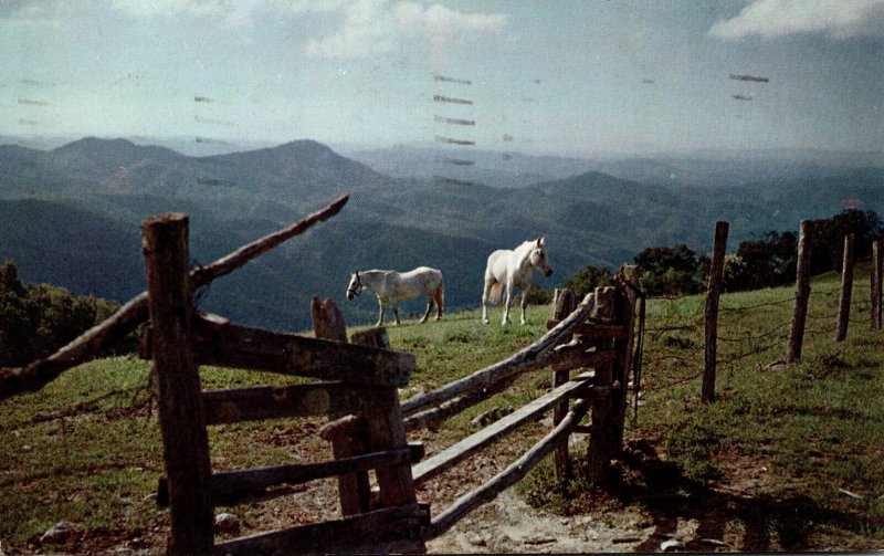 North Carolina Typical Blue Ridge Mountain Farm 1963
